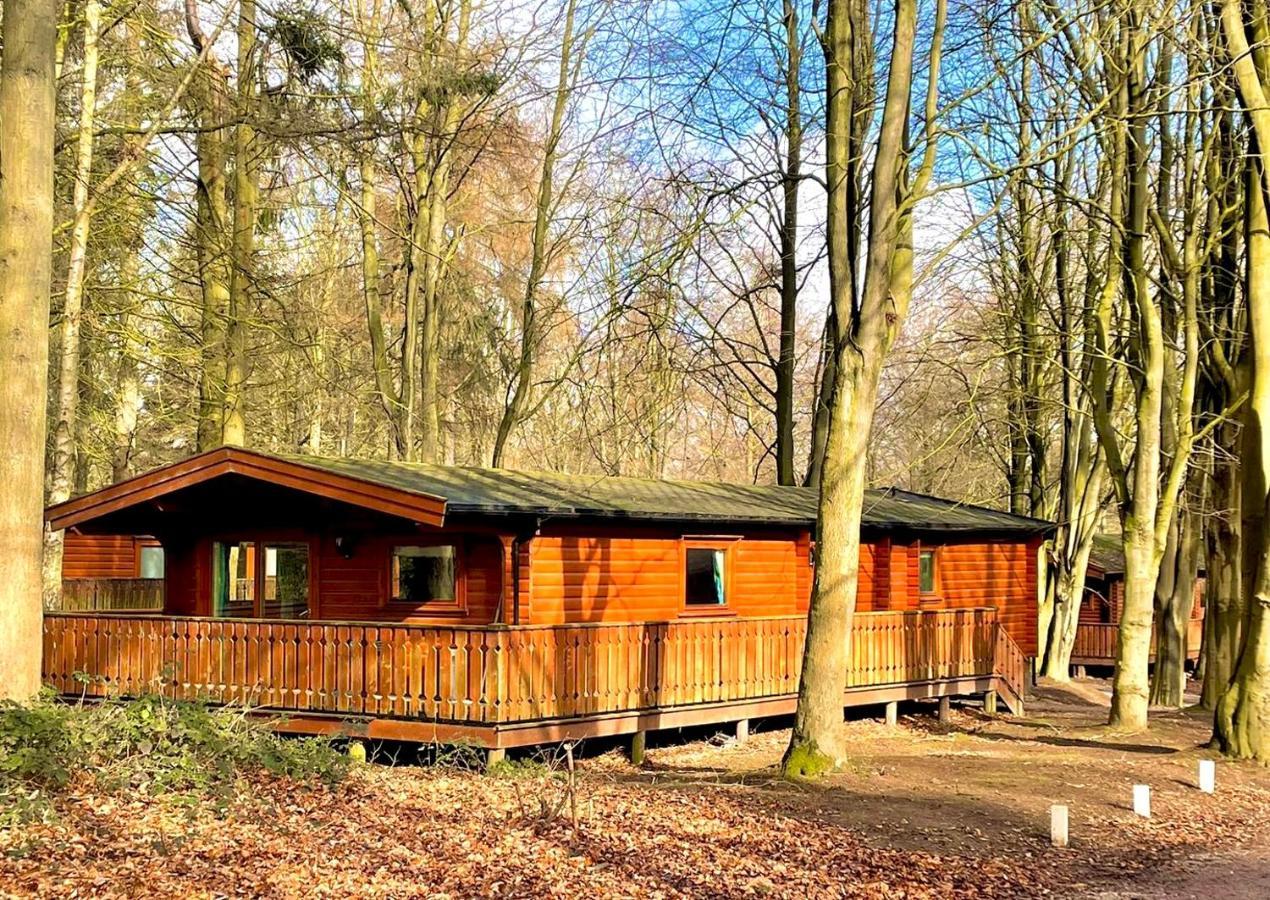 Vila Bamboo Retreat Louth  Exteriér fotografie